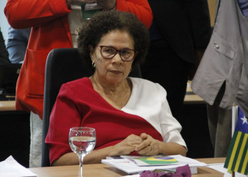 Regina acusa governo Bolsonaro de se omitir sobre óleo no Delta e nas praias do Piauí